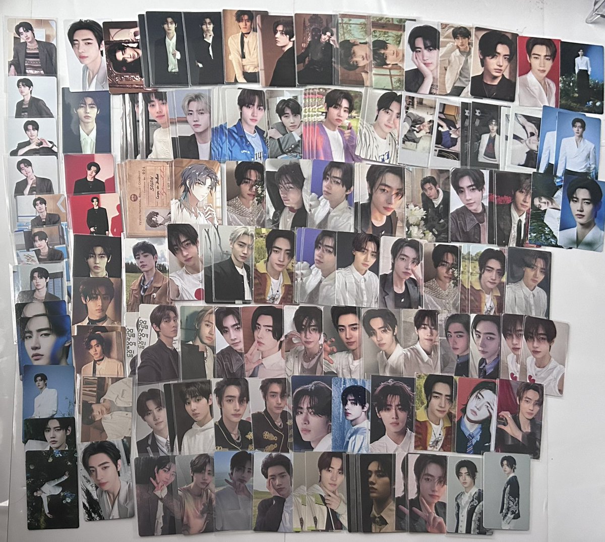 (̨̡ ⸝⸝ᐢ.ˬ.ᐢ⸝⸝ )̧̢ tweet media