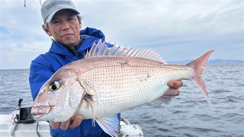 釣りビジョン tweet media