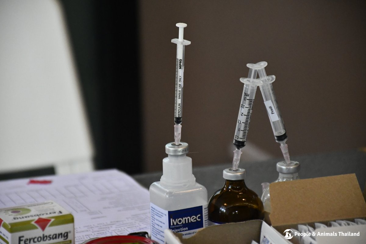 People & Animals Thailand tweet media