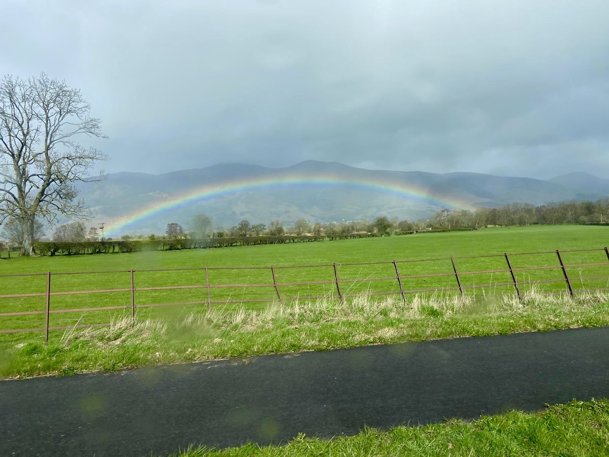 Tim the Yowie Man tweet media
