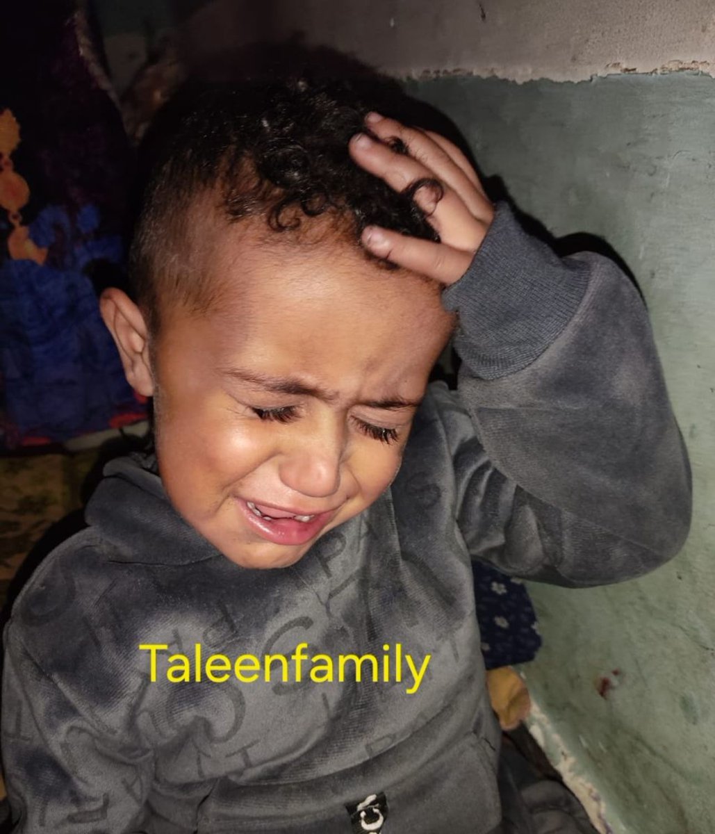 Taleen Family 🍉 tweet media