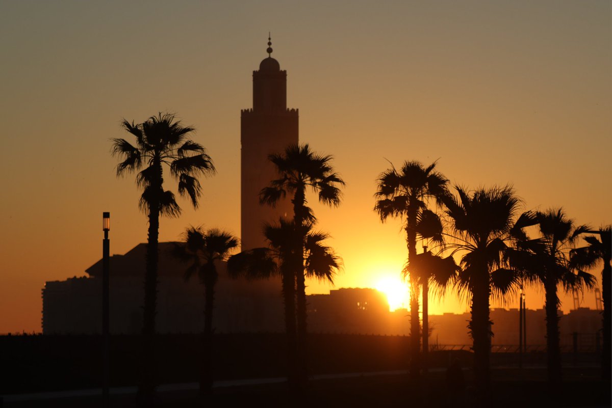 YellowSub 🇨🇵🇪🇺🇺🇦 PFM⚡️DDU⚡️TAEM tweet media