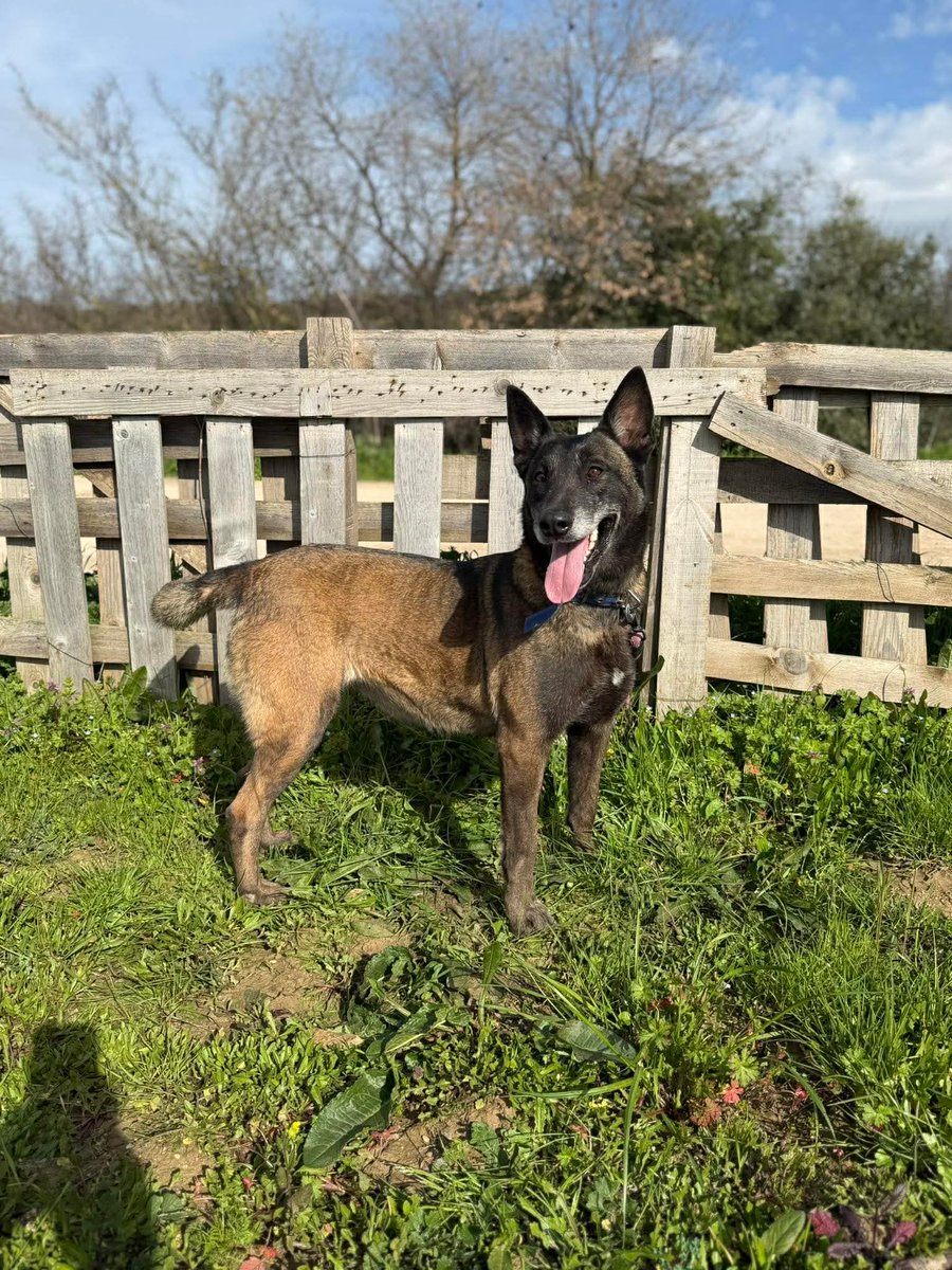 Hepad.hereve1pati 🐾🏡 tweet media