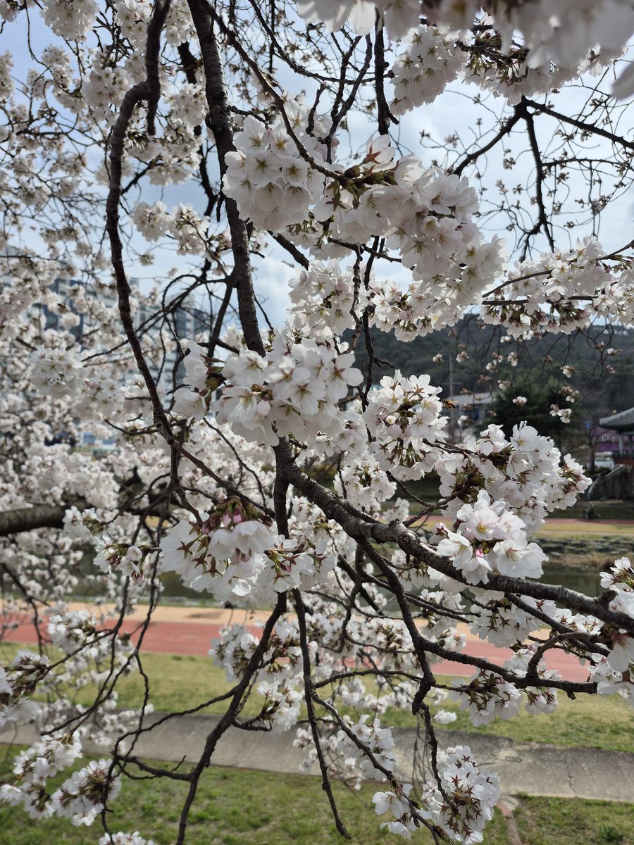 방토(부스:벽1) tweet media