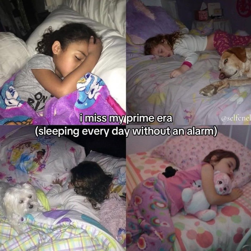 femmenotes tweet media