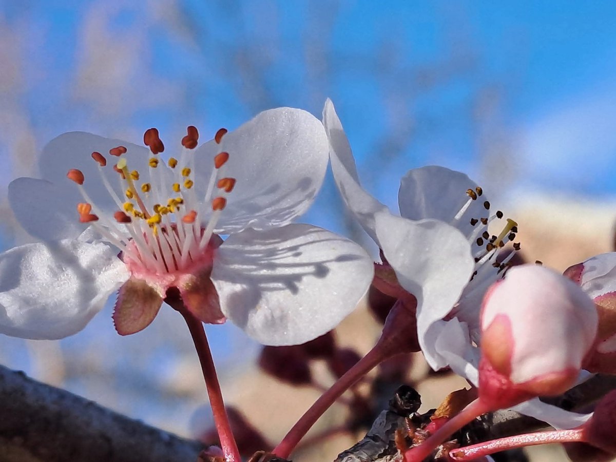 Mayko Ks. 🌞📸🇬🇪🇺🇦🇪🇺 tweet media