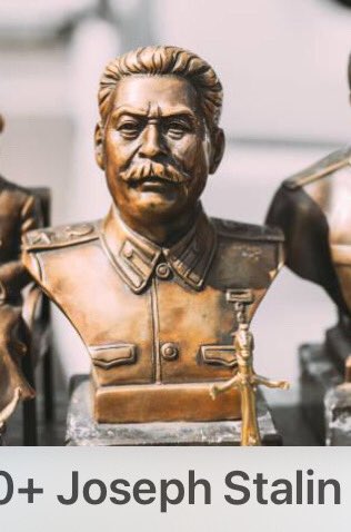 Sunshine Sunnybunz tweet media