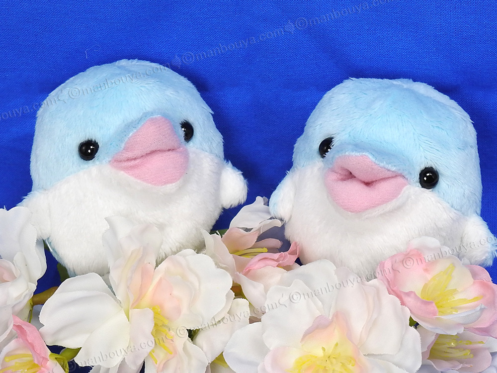 まんぼう屋うさぎ tweet media