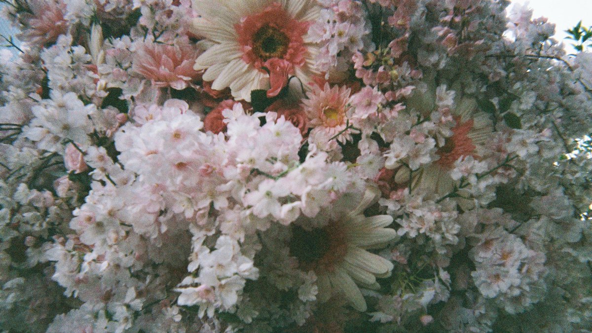 tag.⋆𝜗𝜚 tweet media