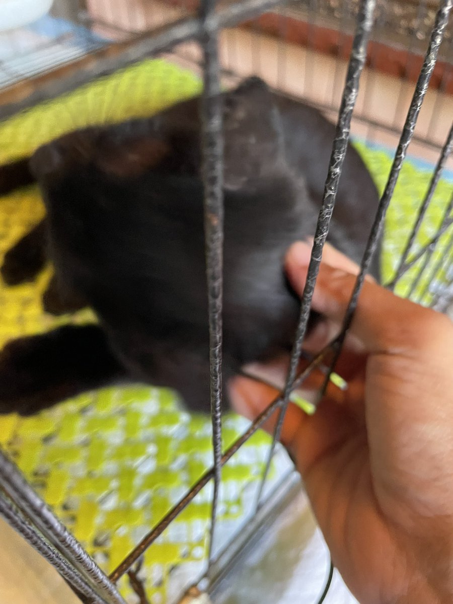 نینا✨ tweet media