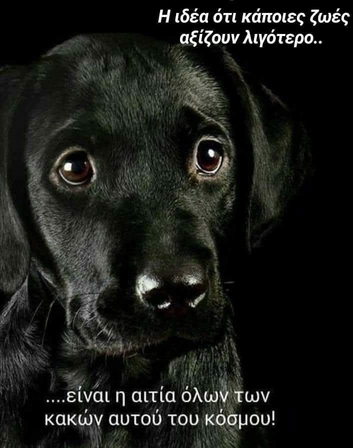 Tonia Mach tweet media