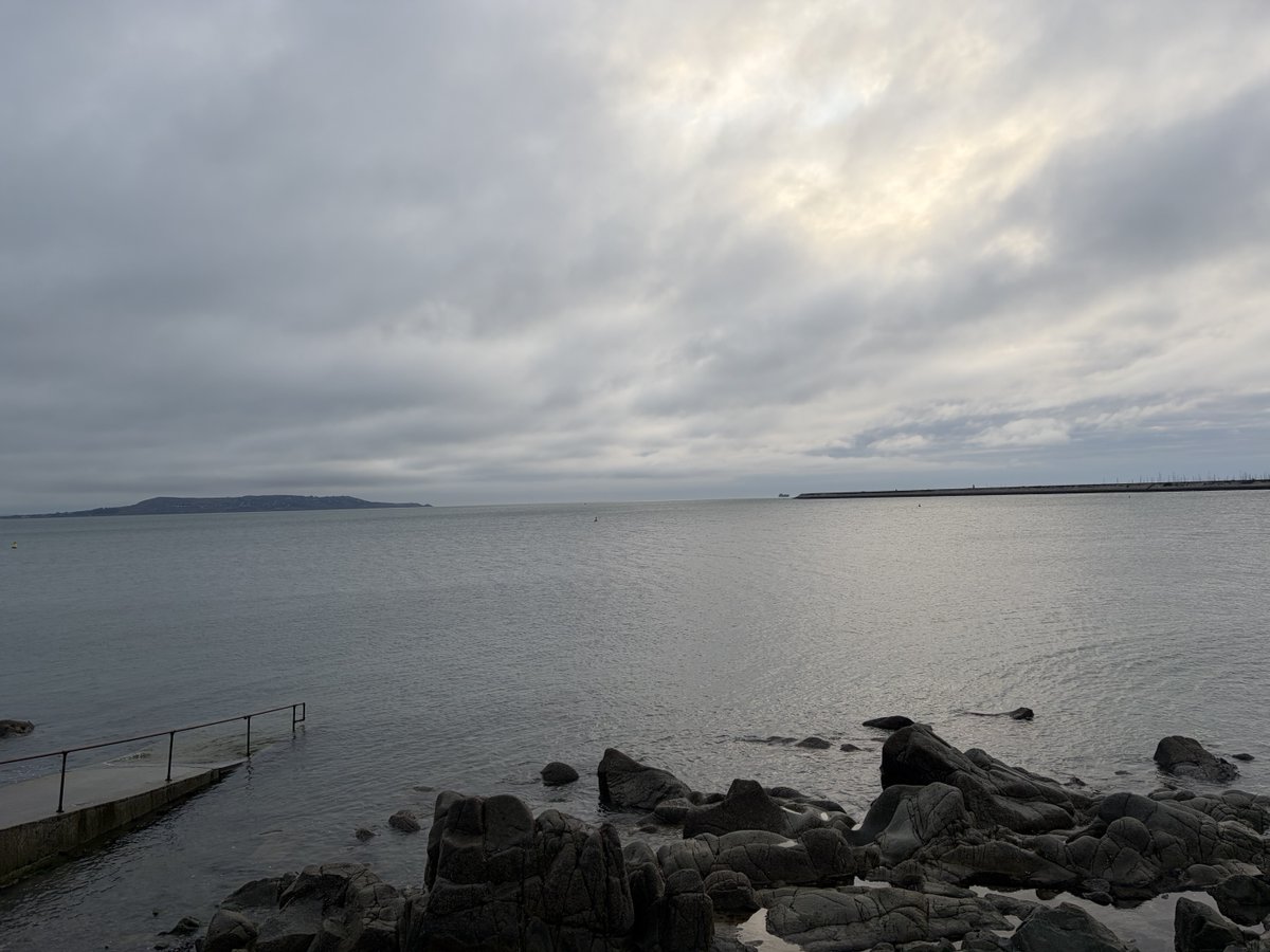 lilycogan tweet media