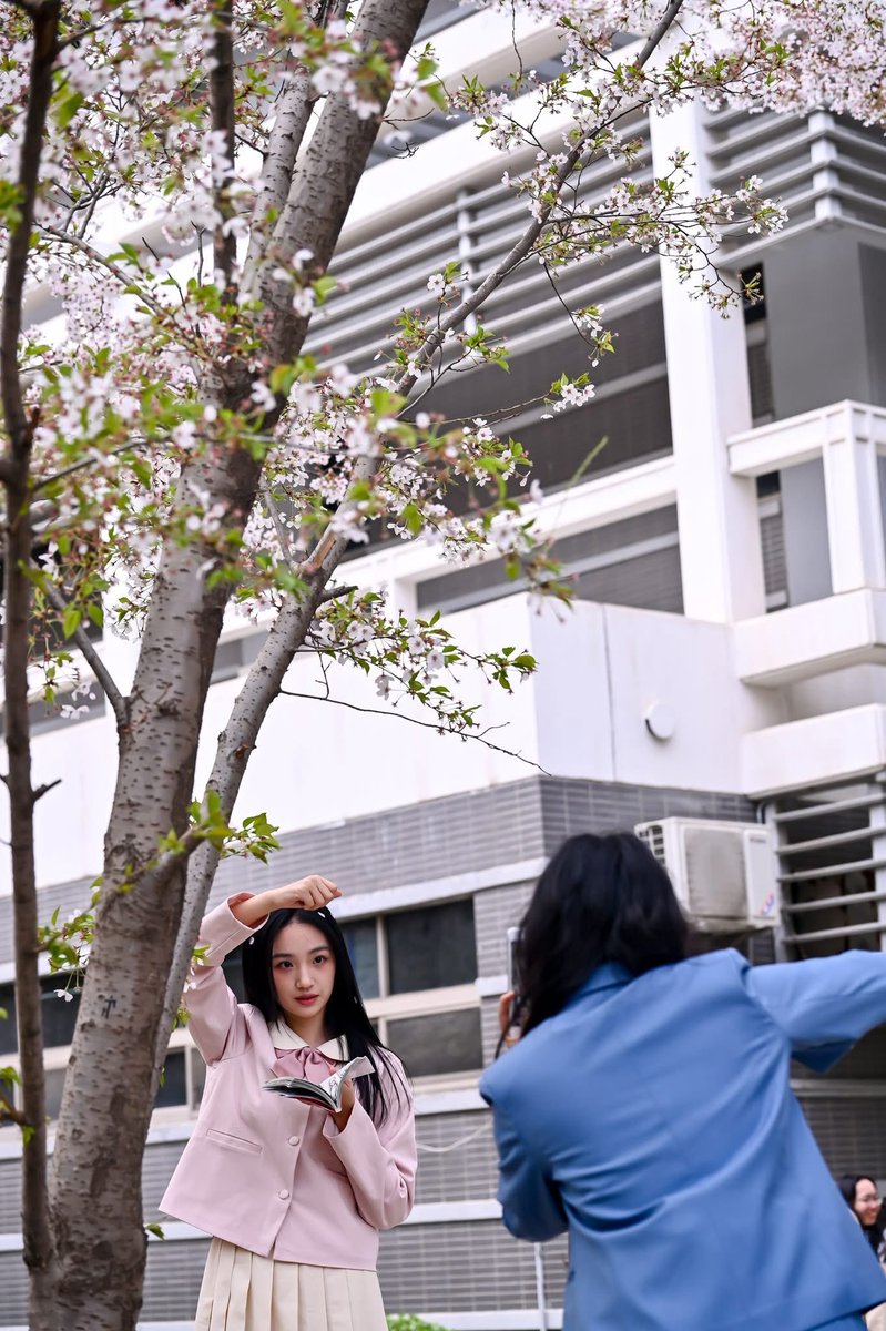 bfsu_official's tweet photo. Spring on campus = flowers everywhere 🌸
Petals fall like soft rain. The air smells like hope.
Every step feels like walking into a postcard.
#springtime #bfsucampus #blossoms https://t.co/Hou5uruBE2