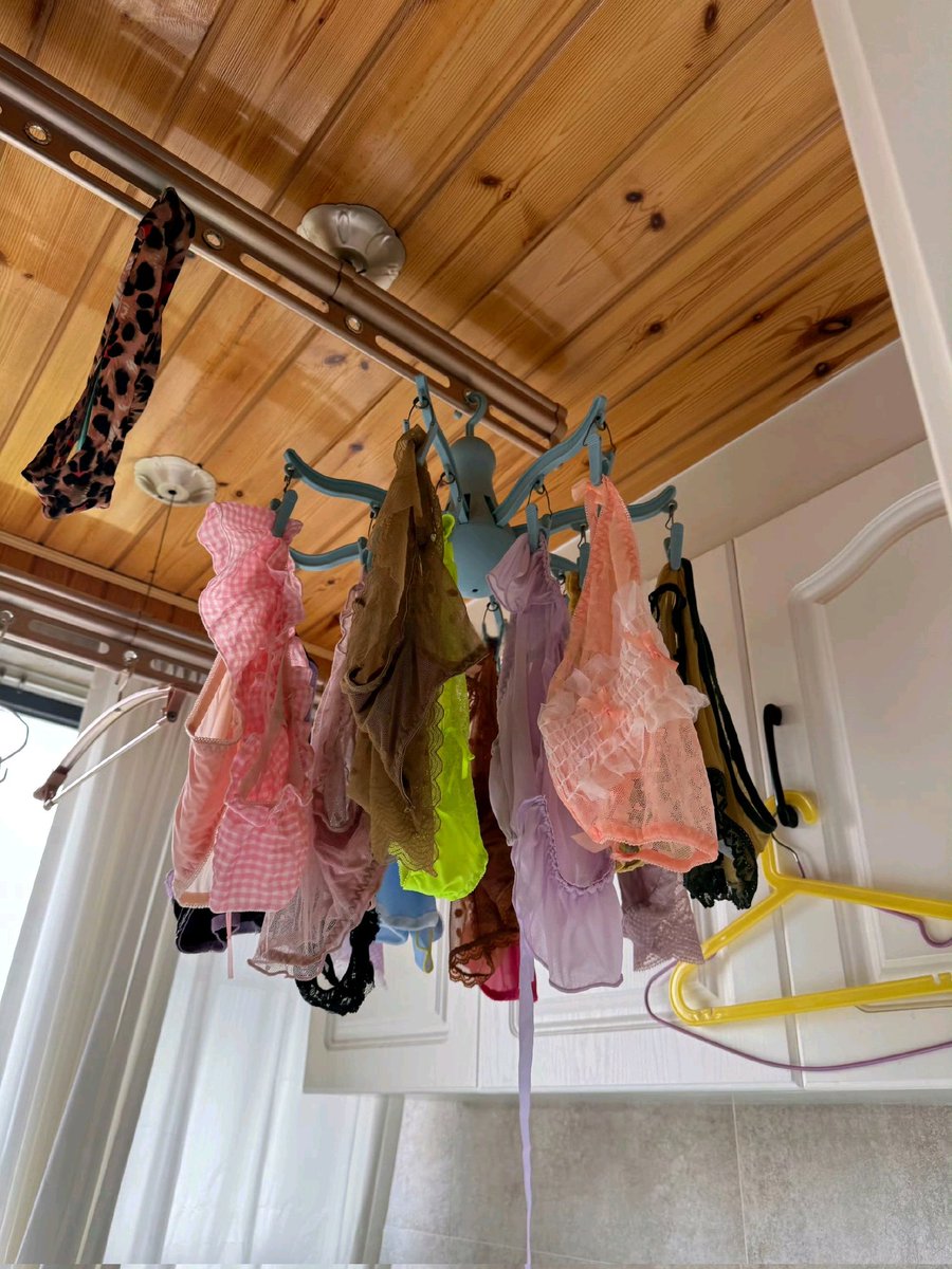 一只猫女士 tweet media