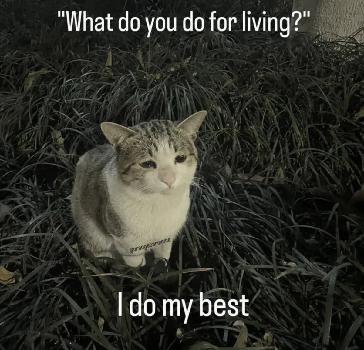 Antidepressant Content (@depressionlesss) on Twitter photo 