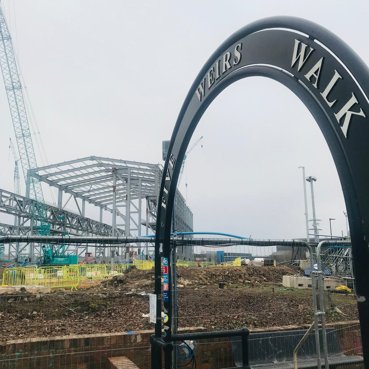 Alma Thule tweet media