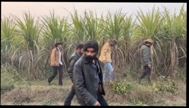 Chizzy B 🐝 tweet media