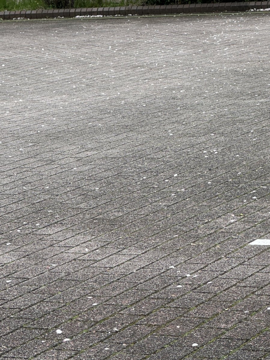 つき・ tweet media