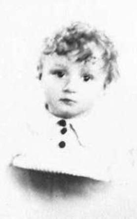 Muzeum Auschwitz tweet media