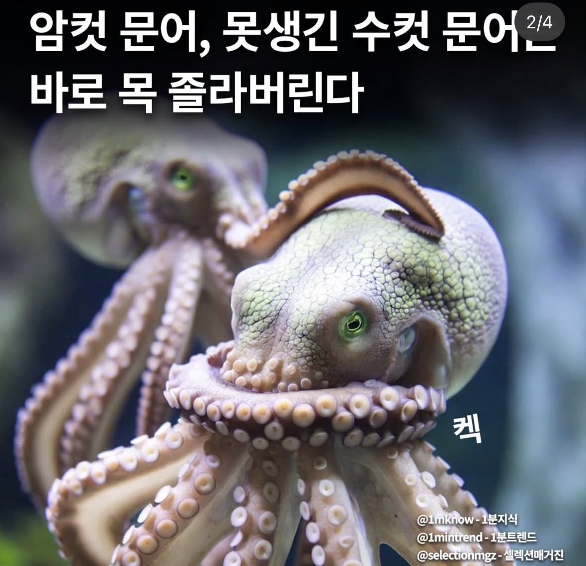 마리나 tweet media