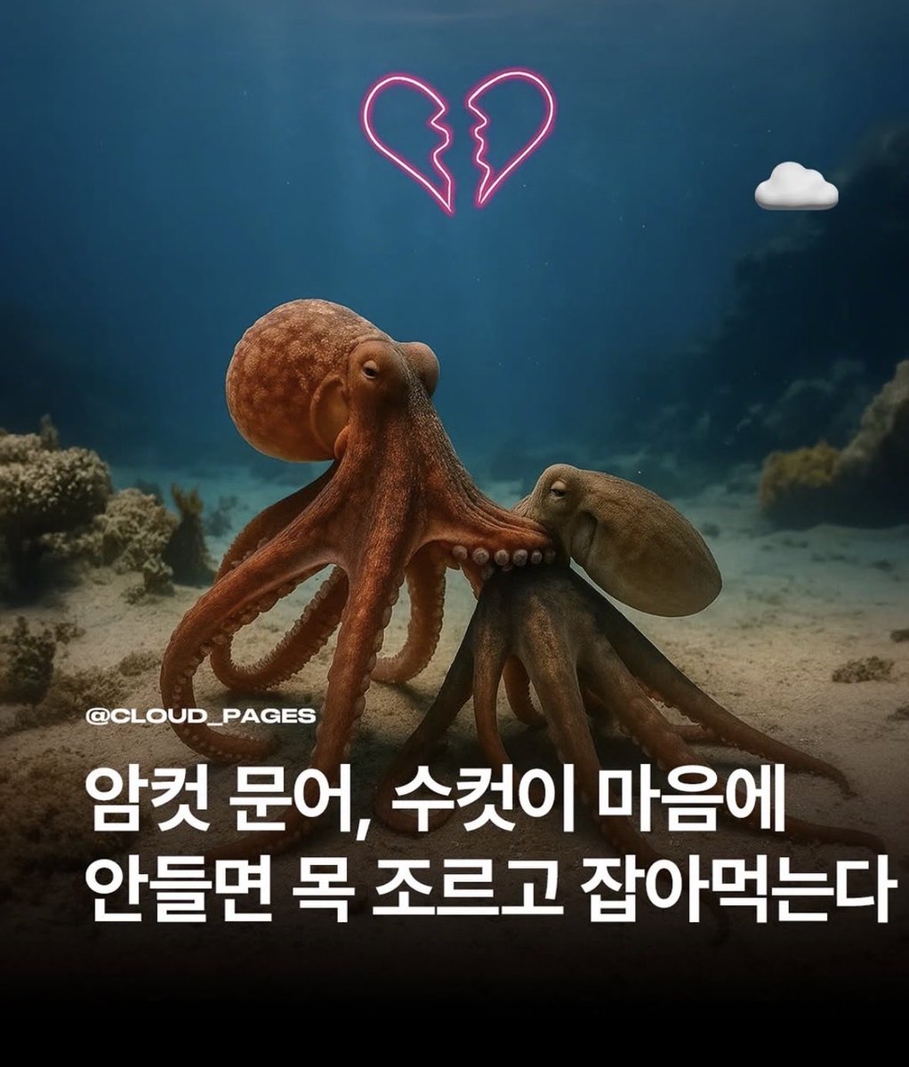 마리나 tweet media