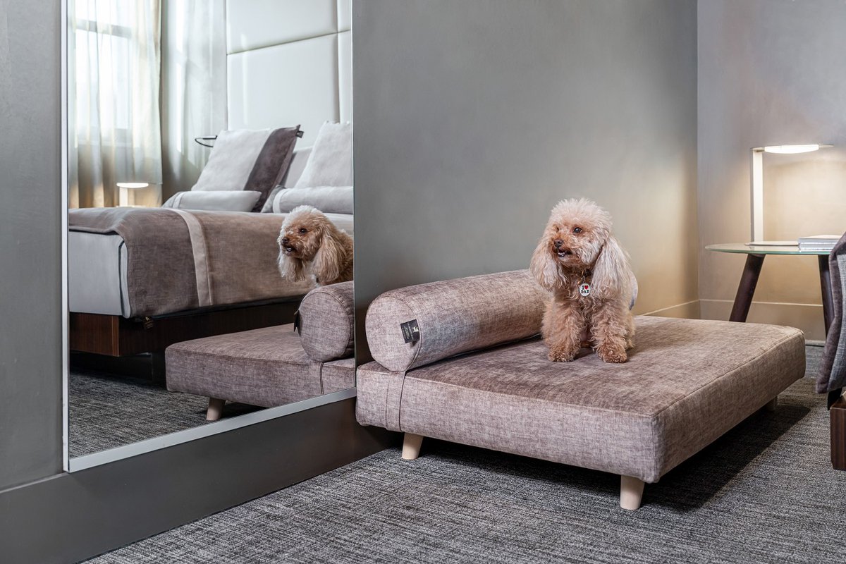 La MEME Suite del hotel ME Milan Il Duca, el lujo de viajar con tu mascota
ow.ly/rup930sUIkz