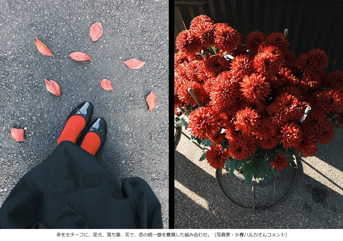 富士フイルム tweet media