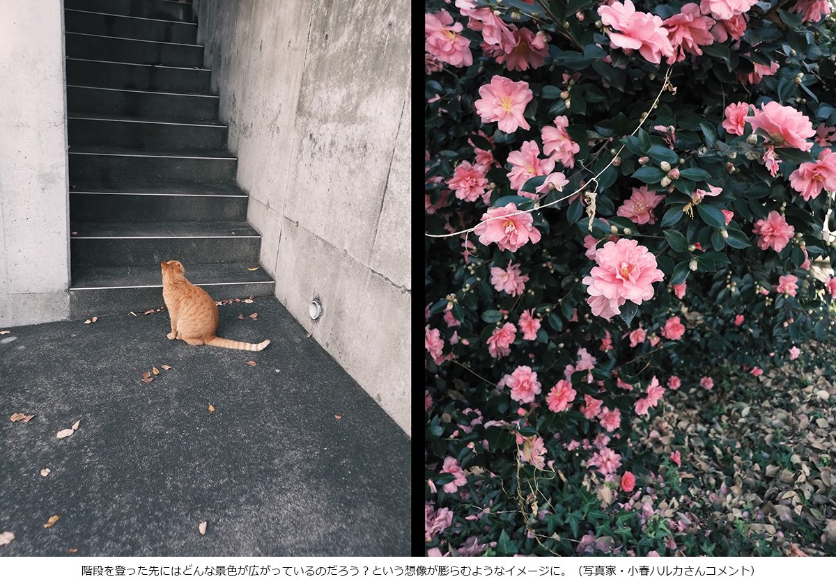 富士フイルム tweet media