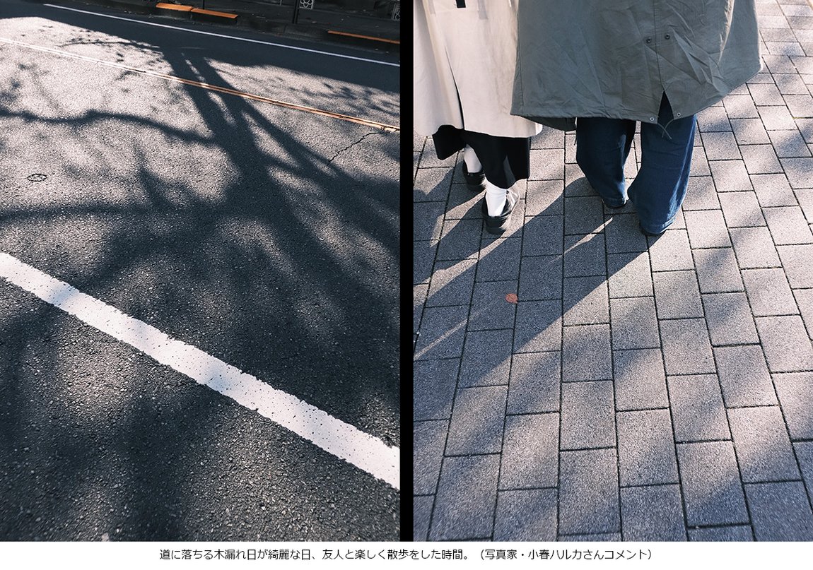 富士フイルム tweet media