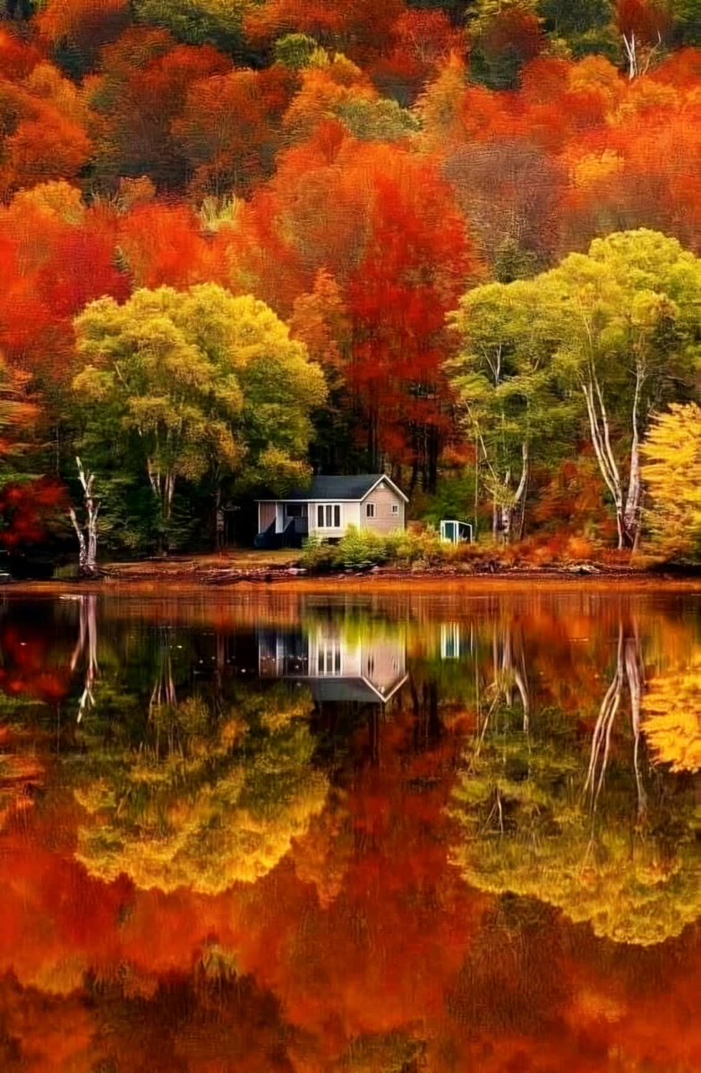 zeynep krtl tweet media