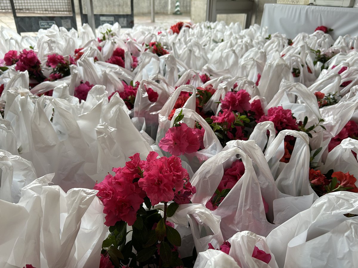 国営越後丘陵公園(公式) tweet media