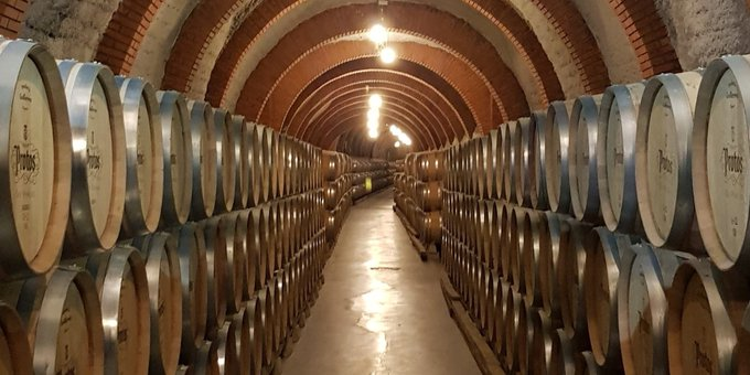 Bodegas Protos tweet media