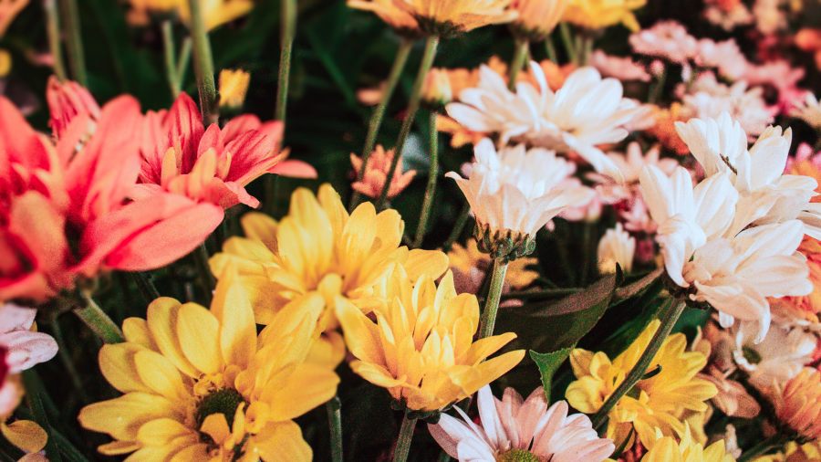 Limite Informativo tweet media