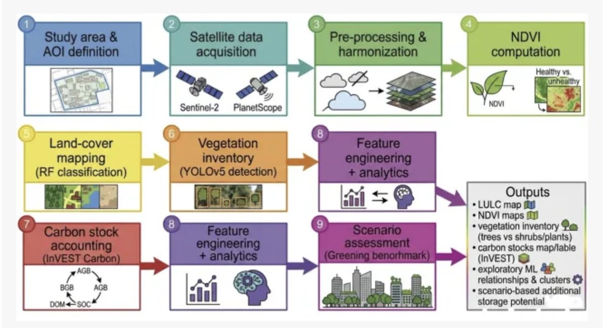 المحنّا- Faten Dhawi tweet media