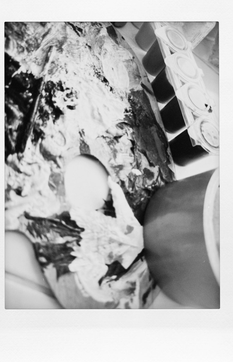 Ekaterina Sokolova tweet media