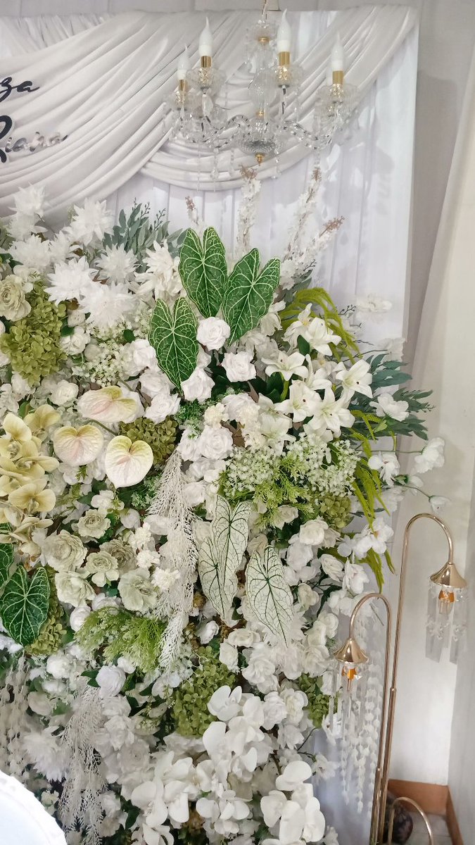 ibu kost tweet media