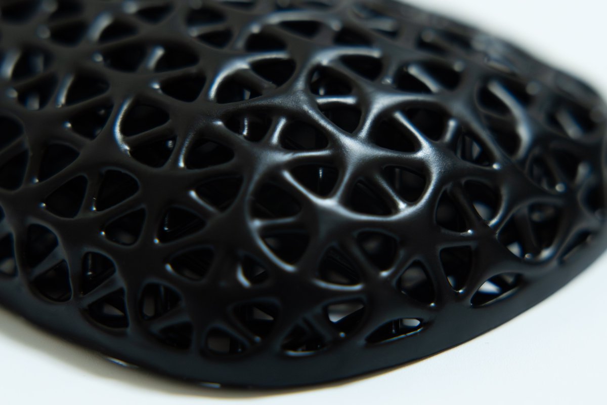 Malayan tapir tweet media