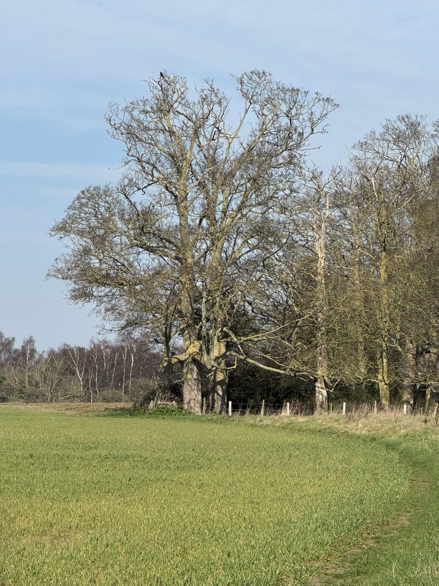 Sean 🇺🇦🏴󠁧󠁢󠁥󠁮󠁧󠁿 tweet media