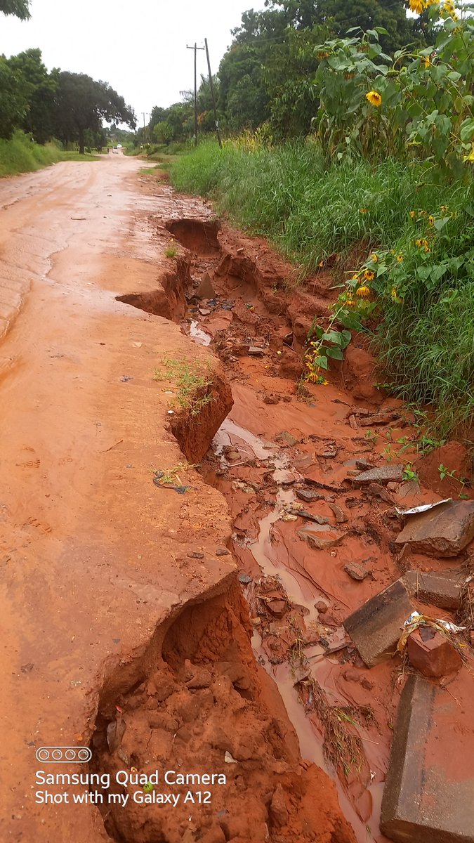 Daniel Sipolilo tweet media