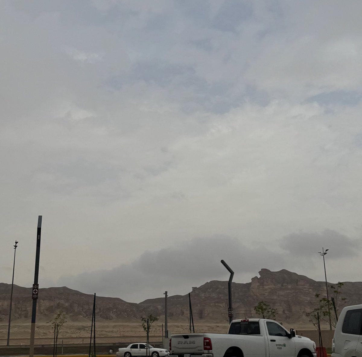 ديـم tweet media