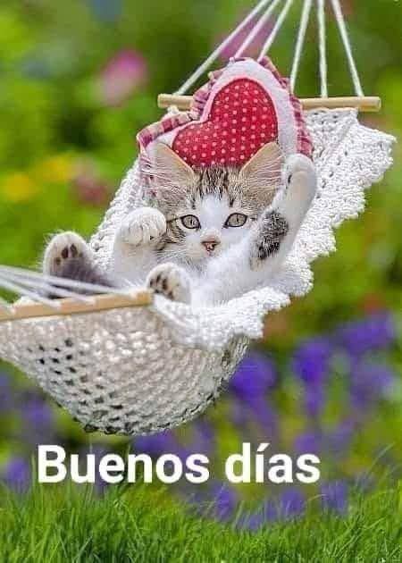 Maria Sierra Montes tweet media