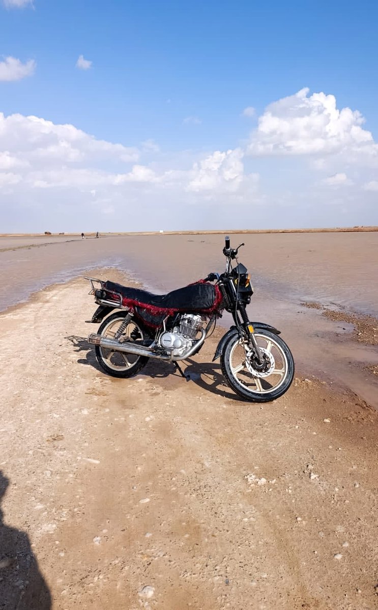 العقيدي tweet media