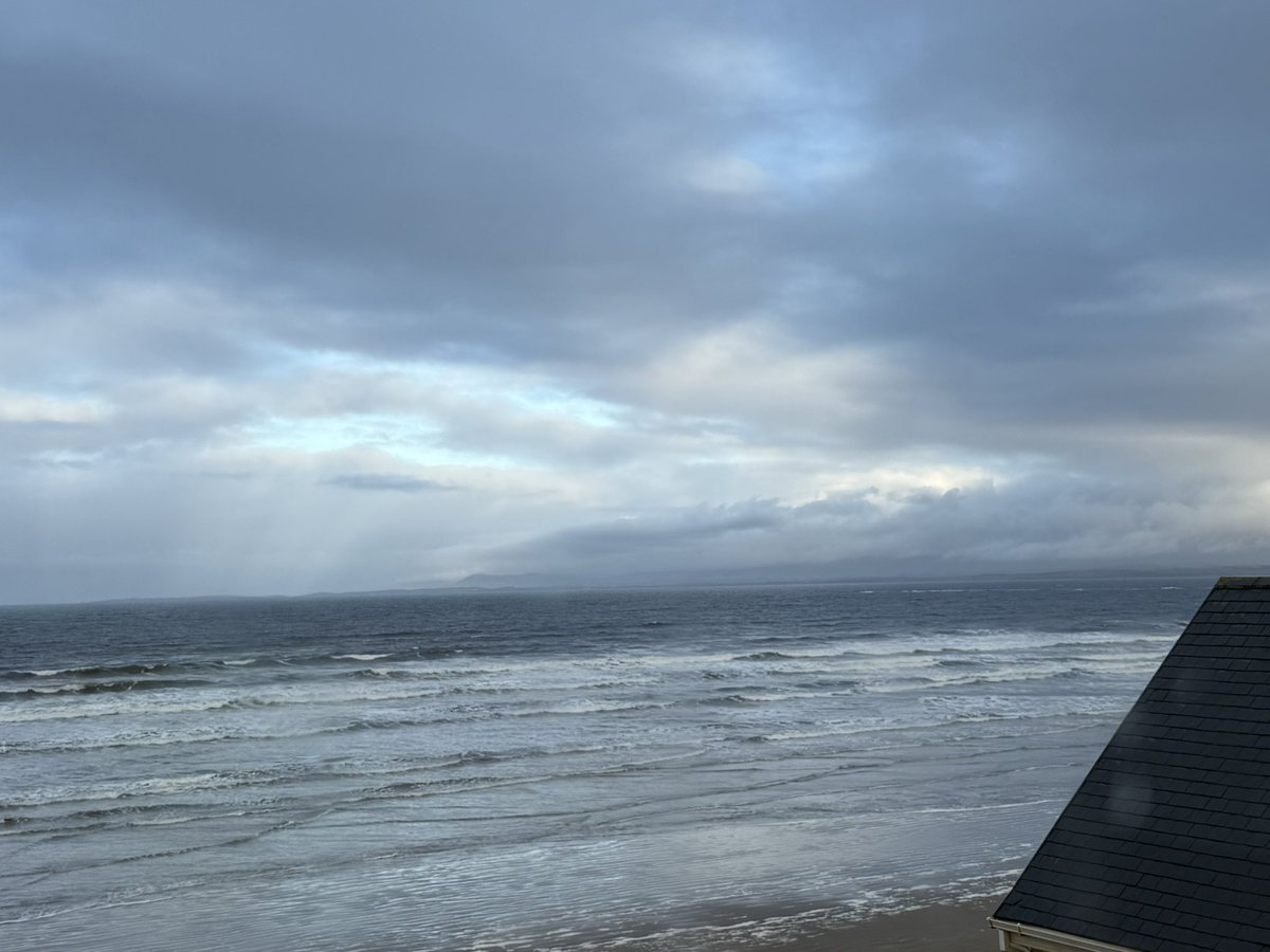 Anja Mueller tweet media