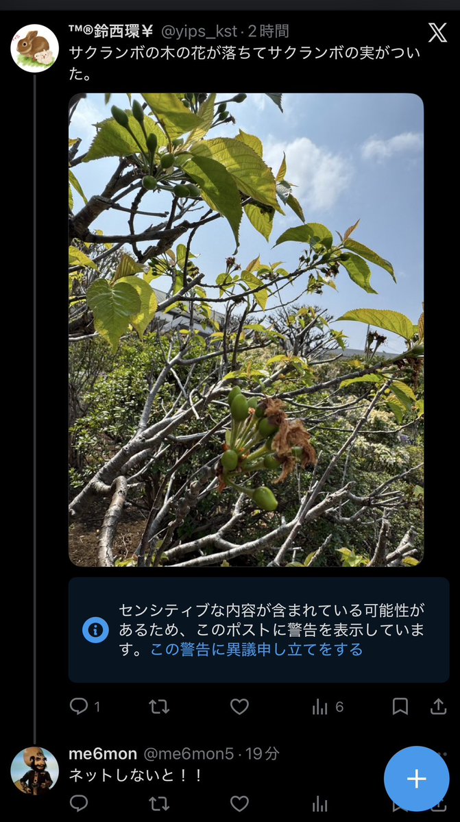 ™®鈴西環￥ tweet media