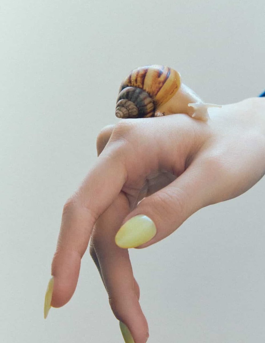 WINTER THAILAND tweet media