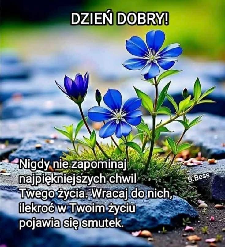 GrazynaMaria tweet media