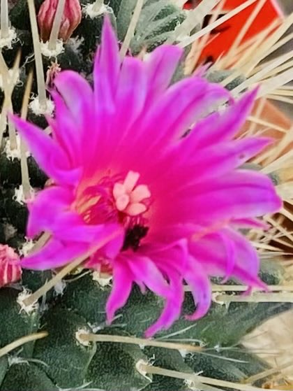 yasu yasu tweet media