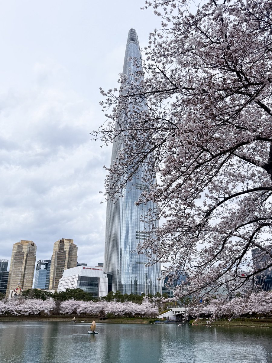 เม้าท์มอยเกาหลี tweet media