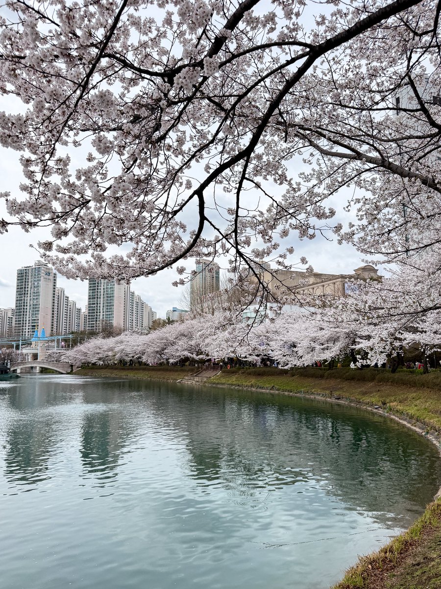 เม้าท์มอยเกาหลี tweet media