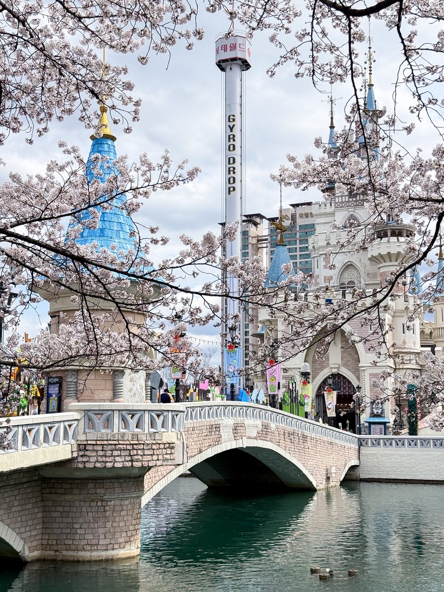 เม้าท์มอยเกาหลี tweet media